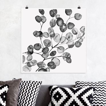 Plakat - czarno-biały Akwarela gałązka eukaliptusa