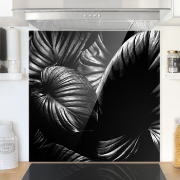 Panel szklany do kuchni - czarno-biały Botany Hosta