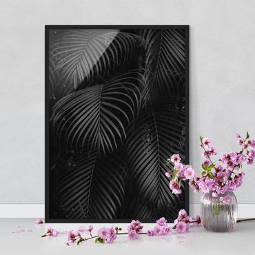 Plakat w ramie - Czarne liście palmy