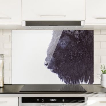 Panel szklany do kuchni - Portret czarnego bizona