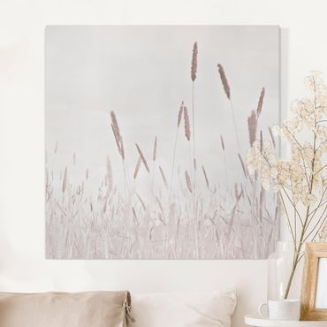 Obraz na płótnie - Letnia trawa trzcinnikowa