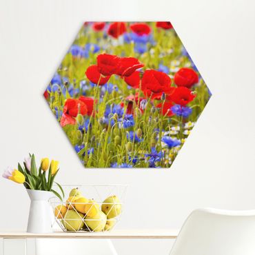 Obraz heksagonalny Alu-Dibond - Summer Meadow With Poppies And Cornflowers