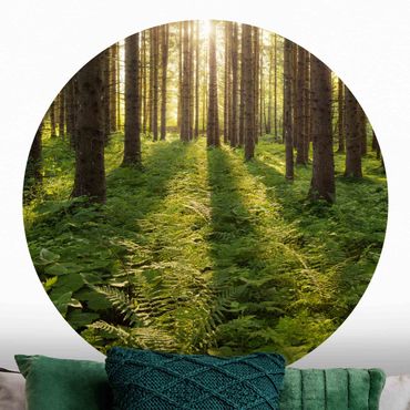Okrągła tapeta samoprzylepna - Promienie słońca w zielonym lesie
