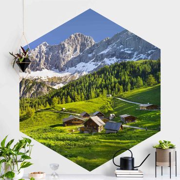 Sześciokątna tapeta samoprzylepna - Styria Alpejska łąka