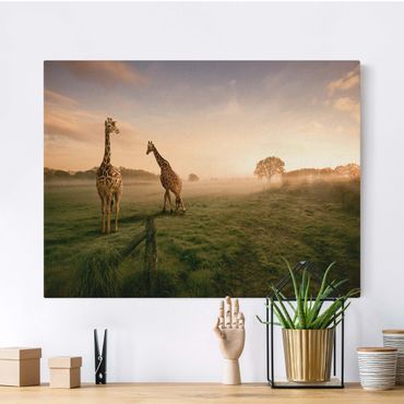 Obraz na naturalnym płótnie - Surrealistyczne żyrafy