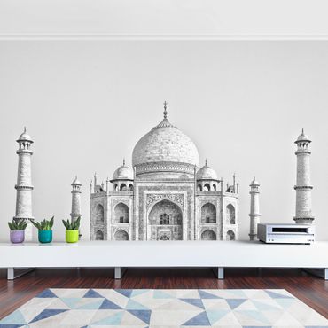 Fototapeta - Taj Mahal w kolorze szarym