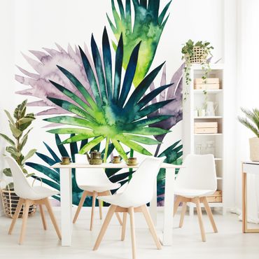 Fototapeta - Egzotyczne liście - Fan Palm