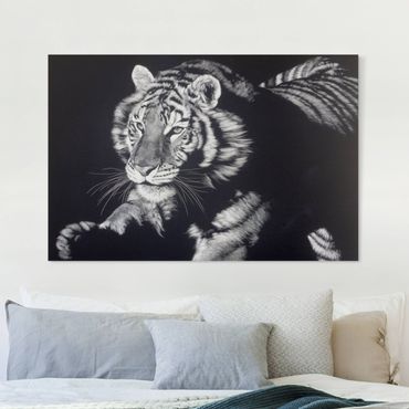 Obraz na płótnie - Tiger In The Sunlight On Black - Format poziomy 3x2