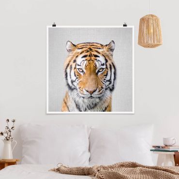 Plakat reprodukcja obrazu - Tiger Tiago