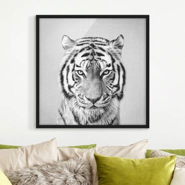 Obraz w ramie - Tiger Tiago Black And White