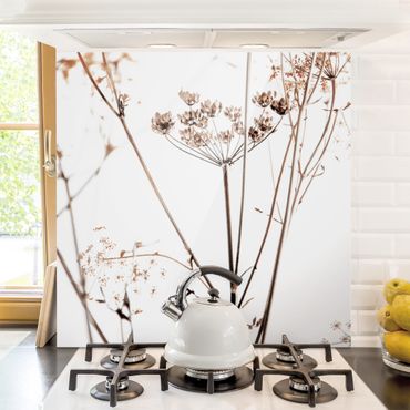 Panel szklany do kuchni - Suchy kwiat w grze światła