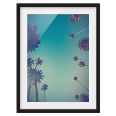Plakat w ramie - Tropical Plants Palm Trees And Sky ll
