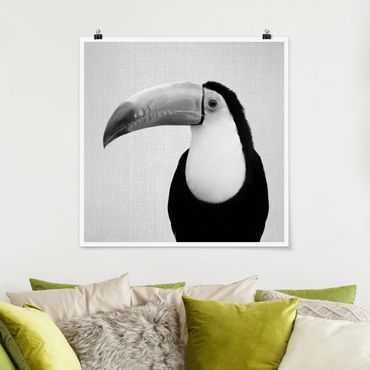 Plakat reprodukcja obrazu - Toucan Torben Black And White