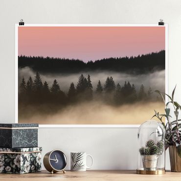 Plakat - Śliczna mgiełka leśna