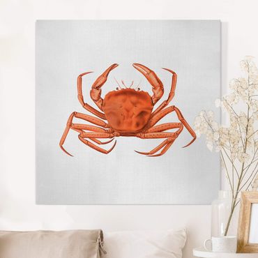 Obraz na płótnie - Vintage Illustration Red Crab - Kwadrat 1:1