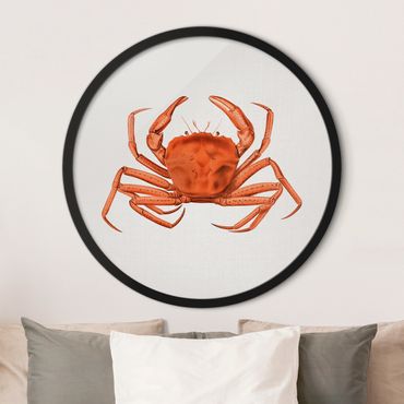 Okrągły obraz z ramką - Ilustracja w stylu vintage Czerwony krab