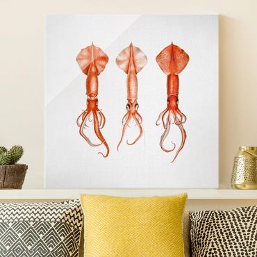 Obraz na szkle - Vintage Illustration Red Squid