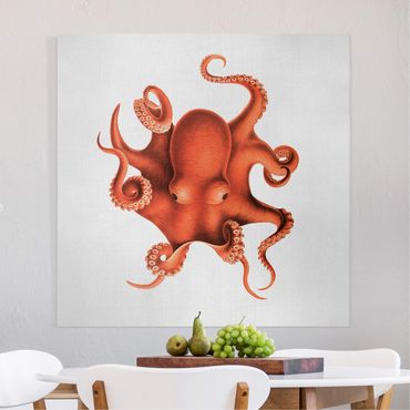 Obraz na płótnie - Vintage Illustration Red Octopus - Kwadrat 1:1