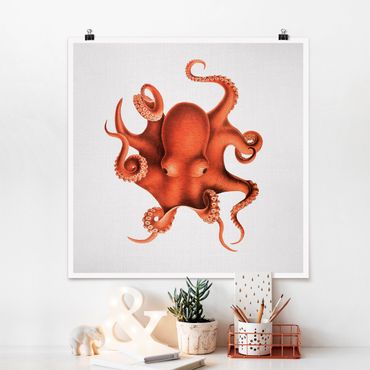 Plakat reprodukcja obrazu - Vintage Illustration Red Octopus
