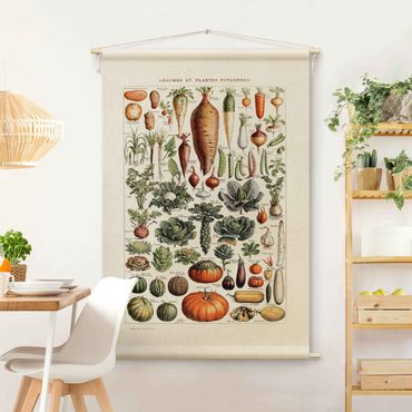 Makatka - Vintage Teaching Illustration Vegetables