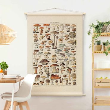 Makatka - Vintage Teaching Illustration Mushrooms