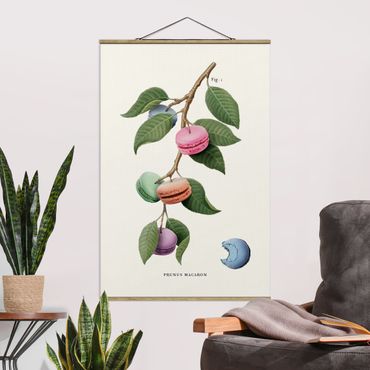 Plakat z wieszakiem - Roślina Vintage - Macaron
