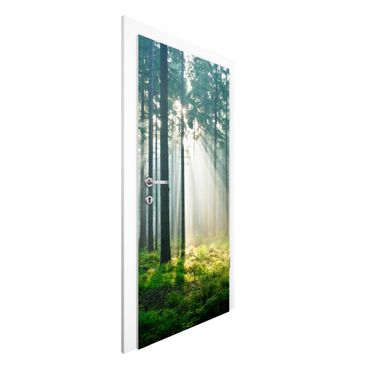 Okleina na drzwi - Świetlany las