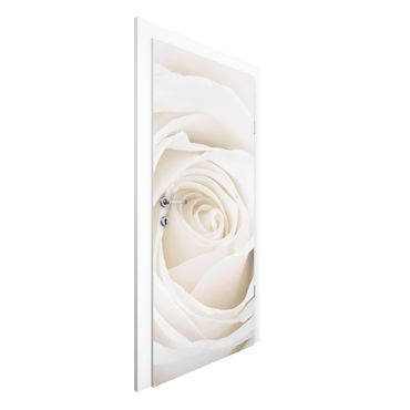 Okleina na drzwi - Piękna biała róża