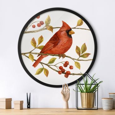 Okrągły obraz w ramie - Birds And Berries - Northern Cardinal