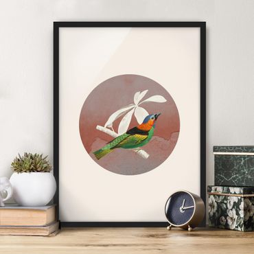 Plakat w ramie - Kolaż z ptakami w kole II