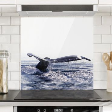 Panel szklany do kuchni - Pieśń wieloryba na Islandii