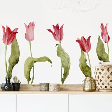 Naklejka na ścianę - Czerwona akwarela Tulipany