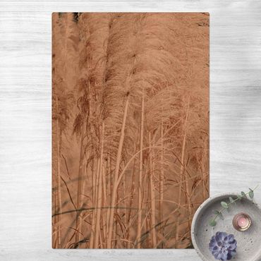 Mata korkowa - Ciepła trawa pampasowa w lecie