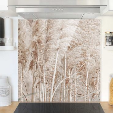Panel szklany do kuchni - Ciepła trawa pampasowa w lecie