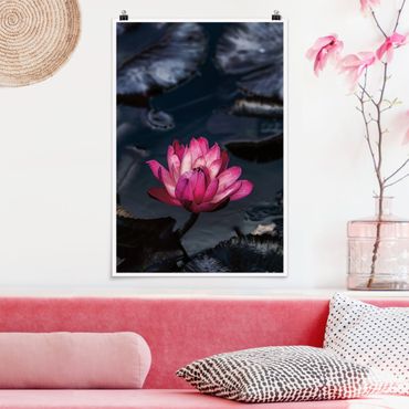 Plakat reprodukcja obrazu - Water lilies