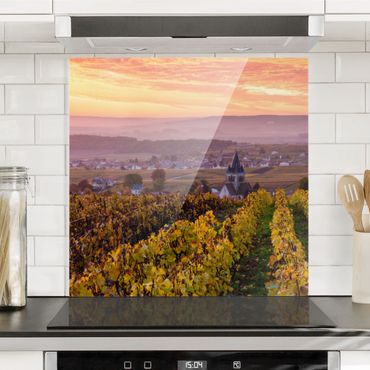 Panel szklany do kuchni - Winnica o zachodzie słońca