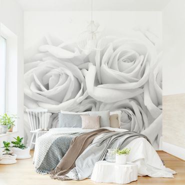 Fototapeta - Białe róże w czerni i bieli