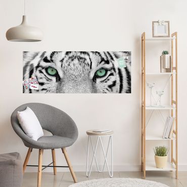 Obraz na szkle - Biały tygrys
