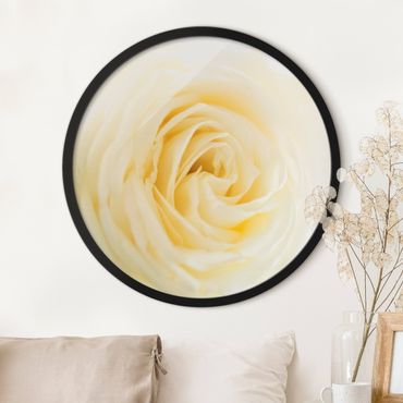 Okrągły obraz w ramie - White Rose