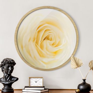 Okrągły obraz w ramie - White Rose