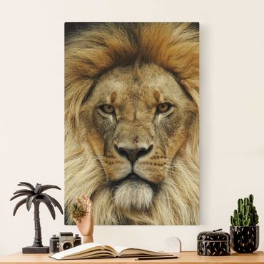 Obraz na naturalnym płótnie - Mądrość lwa