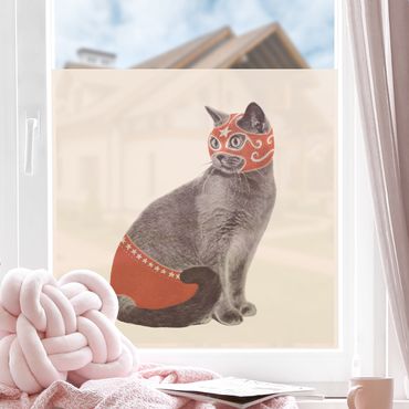 Folia okienna - Zapaśniczy kot