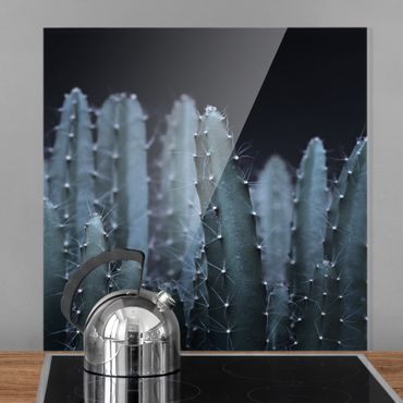 Panel szklany do kuchni - Kaktus pustynny nocą
