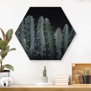 Obraz heksagonalny z drewna - Kaktus pustynny nocą