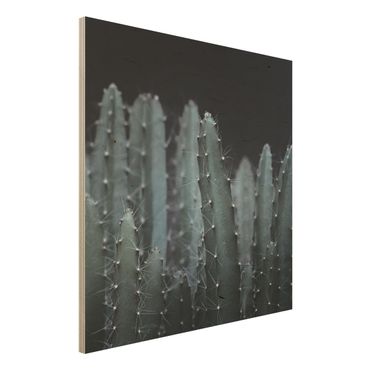 Obraz z drewna - Kaktus pustynny nocą