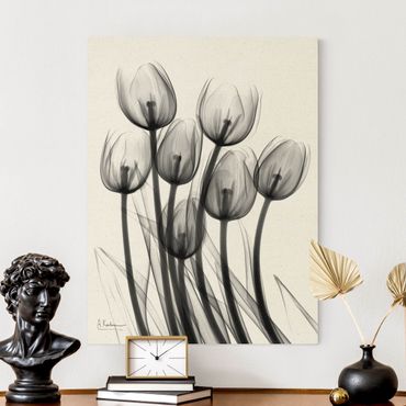 Obraz na naturalnym płótnie - X-Ray - Tulipany
