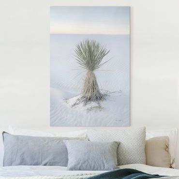Obraz na płótnie - Yucca palm in white sand - Format pionowy2:3