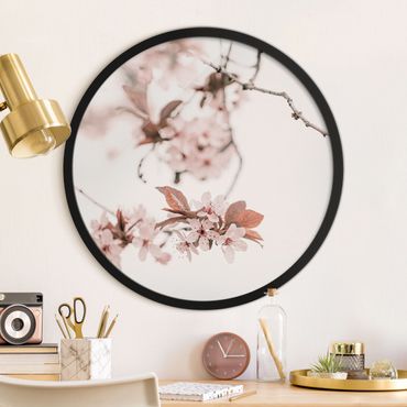 Okrągły obraz w ramie - Delicate Cherry Blossoms On A Twig