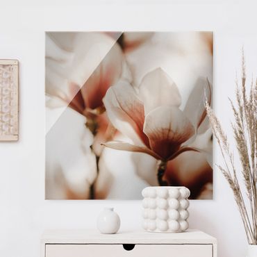 Obraz na szkle - Delikatne kwiaty magnolii w grze świateł
