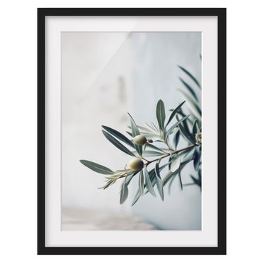 Plakat w ramie - Delikatna kwitnąca gałązka oliwna